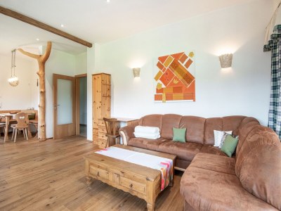 Apartment Wohnung in Saalfelden bei Skigebieten - Features photo 17