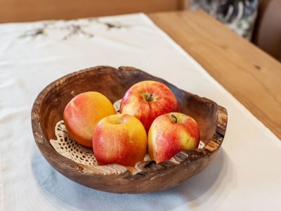 Apartment Wohnung in Saalfelden bei Skigebieten - Outdoor photo 32