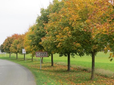 Holiday house Villa in Nalliers mit Pool und Garten - Environment photo 29