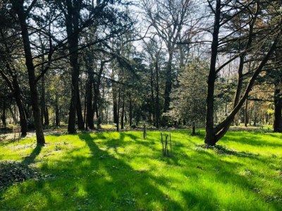 Holiday house Villa in Nalliers mit Pool und Garten - Environment photo 30