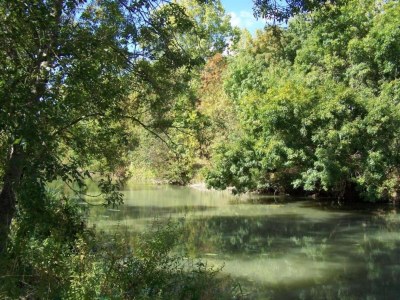 Holiday house Villa in Nalliers mit Pool und Garten - Environment photo 31