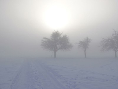 Apartment 4 Bett Ferienhaus, Bad, Sauna - Outdoor photo 20