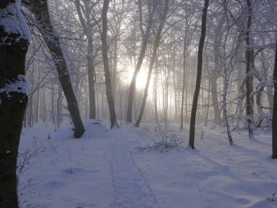 Apartment 4 Bett Ferienhaus, Bad, Sauna - Outdoor photo 21