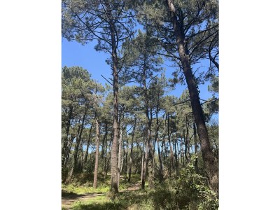 Holiday house Bakea - Environment photo 28