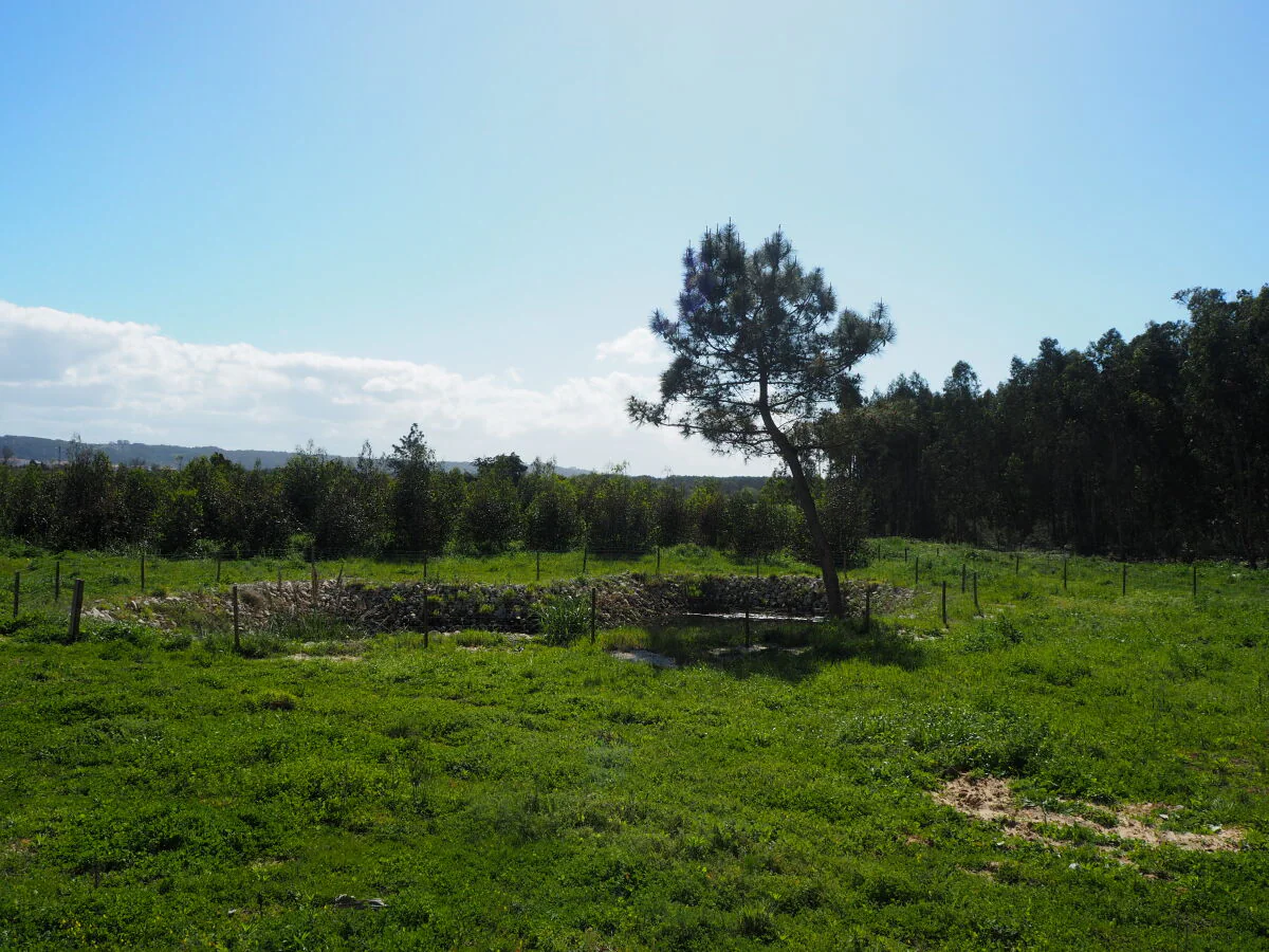 Villa Au bain Marie - Outdoor photo 5
