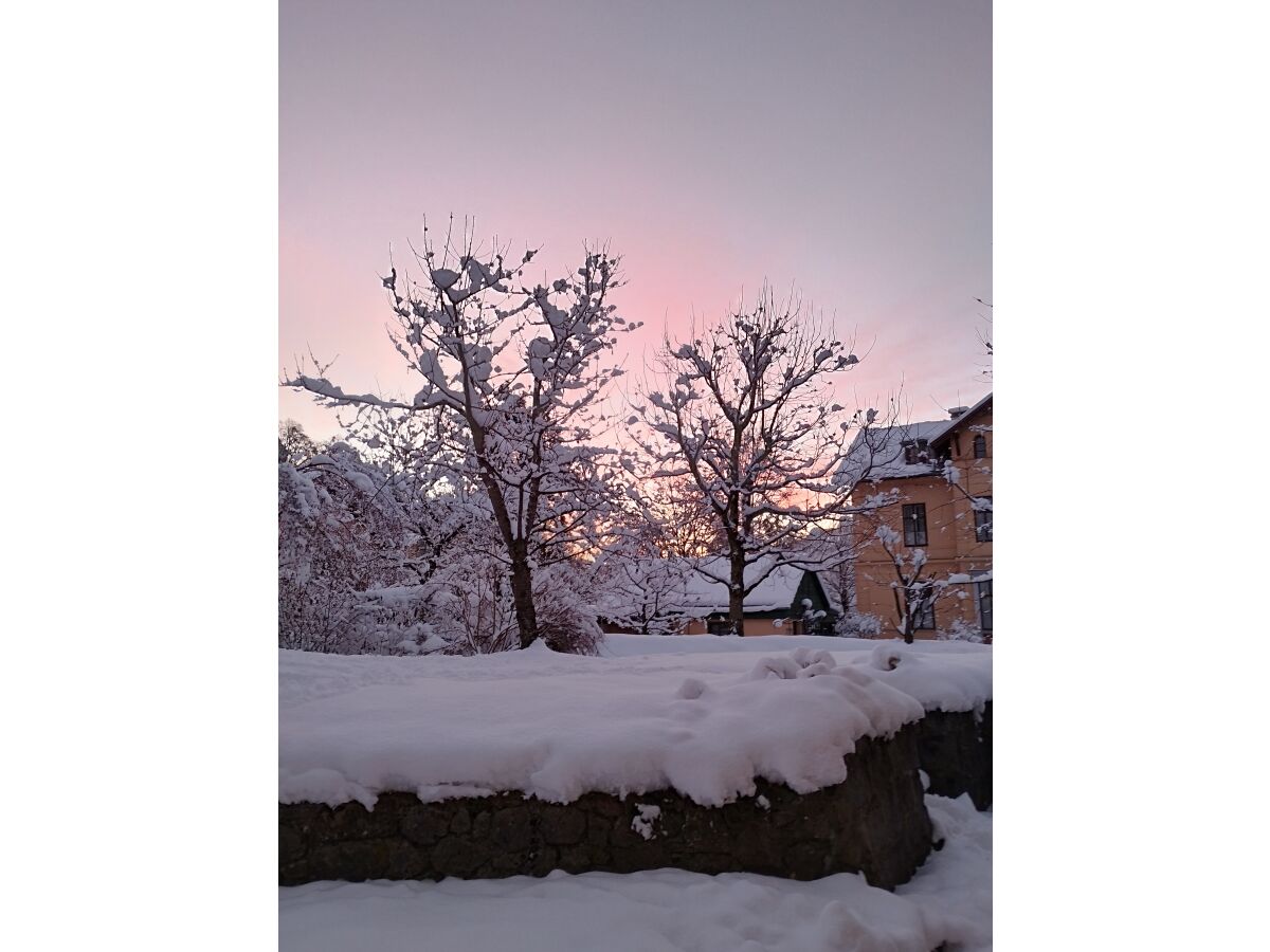 Holiday apartment Apartment Mörtl - Stilvolle Wohnung - Outdoor photo 4