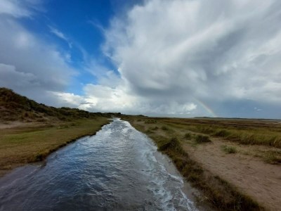 Bungalow Leeuwerik - Bosrandweg 411 - Environment photo 15