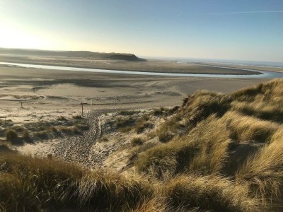 Bungalow Bosrandweg 235 - Environment photo 21