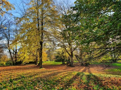 Apartment Wohnung nahe Ostsee Kühlungsborn - Outdoor photo 9