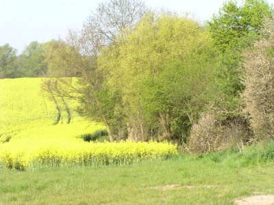 Apartment Wohnung nahe Ostsee Kühlungsborn - Environment photo 30