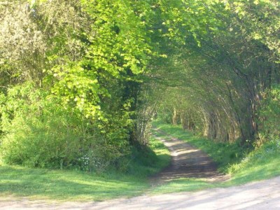 Apartment Wohnung nahe Ostsee Kühlungsborn - Environment photo 33