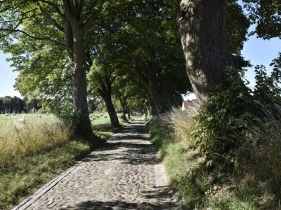 Apartment Wohnung nahe Ostsee Kühlungsborn - Environment photo 34