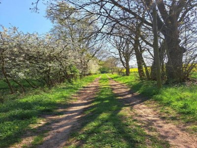 Apartment Wohnung nahe Ostsee Kühlungsborn - Environment photo 36