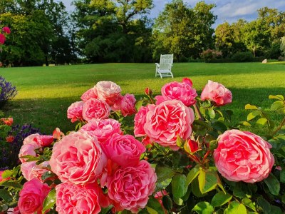 Apartment Wohnung in Satow mit Garten - Outdoor photo 7