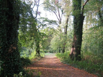 Apartment Wohnung in Satow mit Garten - Environment photo 22