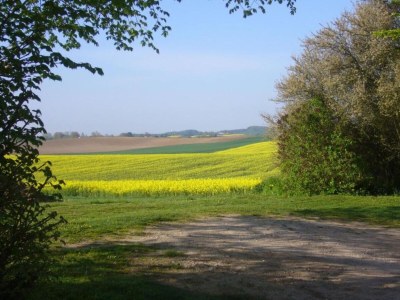 Apartment Wohnung in Satow mit Garten - Environment photo 23