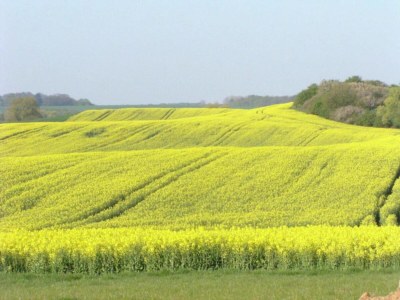 Apartment Wohnung in Satow mit Garten - Environment photo 24