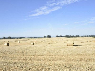 Apartment Wohnung in Satow mit Garten - Environment photo 25