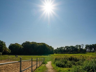 Apartment Wohnung in Satow mit Garten - Environment photo 26