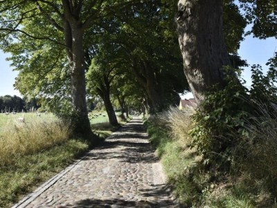 Apartment Wohnung in Satow mit Garten - Environment photo 27