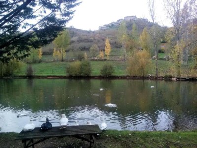 Holiday park Tranquil Escape with Pool - Environment photo 30