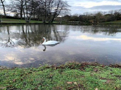 Holiday park Tranquil Escape with Pool - Environment photo 31