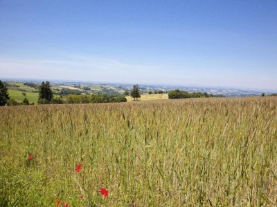 Holiday park Apartment in Rignac near Lake Peyrade - Environment photo 25