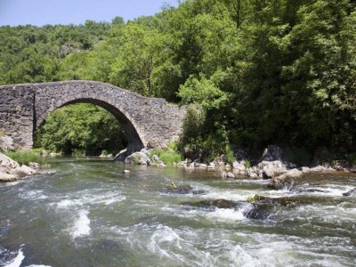 Holiday park Apartment in Rignac near Lake Peyrade - Environment photo 26