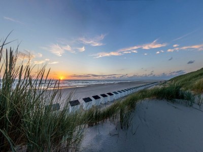 Holiday house Villa auf Texel nahe Strand und Wald - Environment photo 12