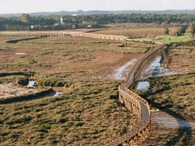 Apartment Sunny Terrace Near Marbella - Environment photo 30