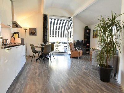 Apartment Cosy flat in Schoorl near forest in Schoorl - Apartment