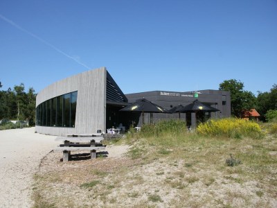 Apartment Cosy flat in Schoorl near forest - Environment photo 16