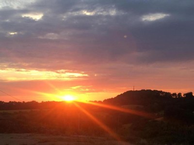 Holiday house Holiday Home in Toulon with Pool & Beach Nearby - Environment photo 28