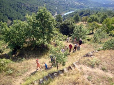 Holiday house Holiday Home in Toulon with Pool & Beach Nearby - Environment photo 37
