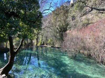 Holiday park Cozy Stay in Ardèche - Environment photo 21