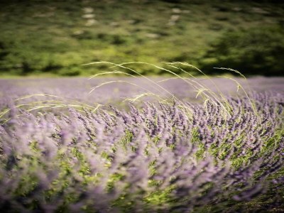 Holiday park Cozy Stay in Ardèche - Environment photo 24