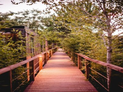 Holiday park Cozy Stay in Ardèche - Environment photo 29