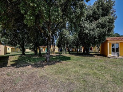 Holiday house Gîte  in a holiday park with pool - Outdoor photo 9