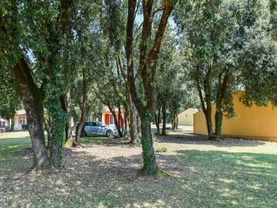 Holiday house Gîte  in a holiday park with pool - Outdoor photo 15