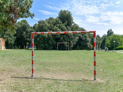 Holiday house Gîte  in a holiday park with pool - Outdoor photo 17