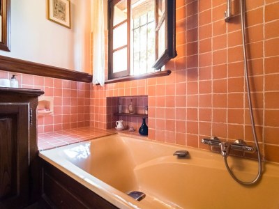 Holiday house Provencal House in Seillans with Pool - Features photo 32