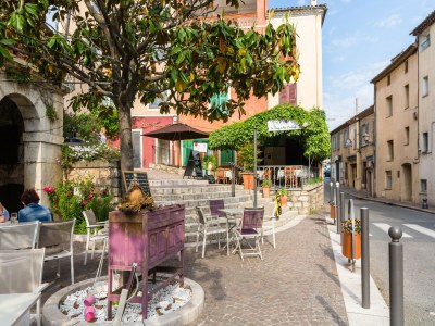 Holiday house Provencal House in Seillans with Pool - Environment photo 35