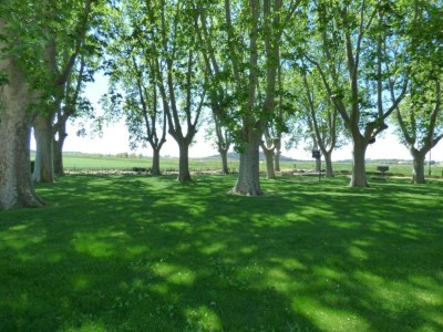 Holiday house Provencal House in Seillans with Pool - Environment photo 37