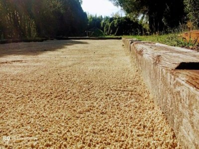 Holiday house Provencal House in Seillans with Pool - Environment photo 39