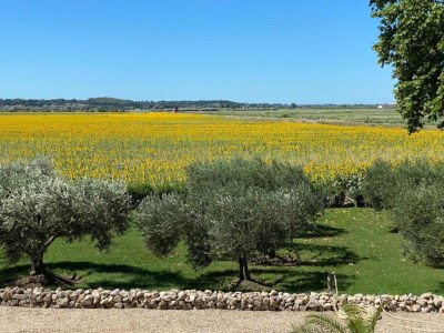Holiday house Provencal House in Seillans with Pool - Environment photo 40