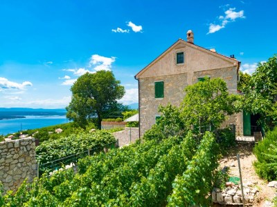 Villa Apartment in Crikvenica with Scenic Terrace - Outdoor photo 3