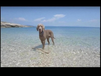 Holiday house Ferienhaus in Crikvenica mit Meerblick - Environment photo 28
