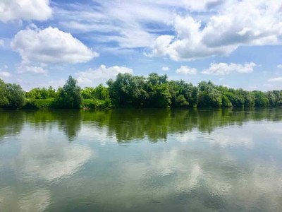 Holiday house Holiday Home Lasinja near Zagreb & Nature Park - Environment photo 28