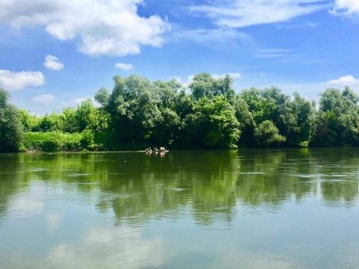 Holiday house Holiday Home Lasinja near Zagreb & Nature Park - Environment photo 29