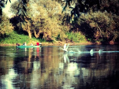 Holiday house Holiday Home Lasinja near Zagreb & Nature Park - Environment photo 32